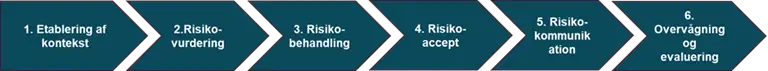 Model med overblik over risikostyringsprocessen